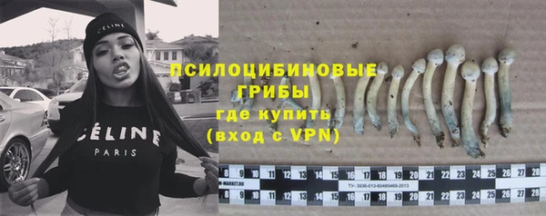 мескалин Алексин