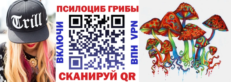 дарнет шоп  Межгорье  Галлюциногенные грибы Psilocybine cubensis 